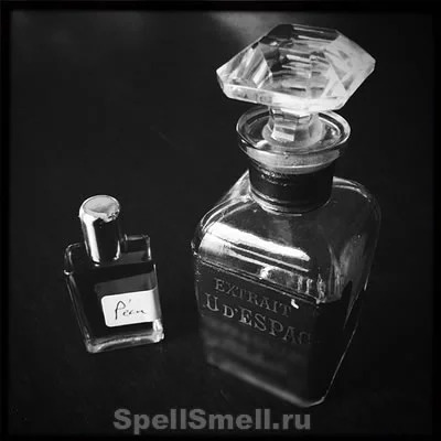 Rising Phoenix Perfumery P'eau Sud — чувственный аромат, вдохновленный ‎старинным парфюмом ‎