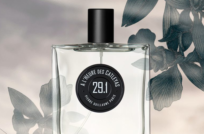 Pierre Guillaume Paris A l heure des Catleyas 29.1: по следам Пруста