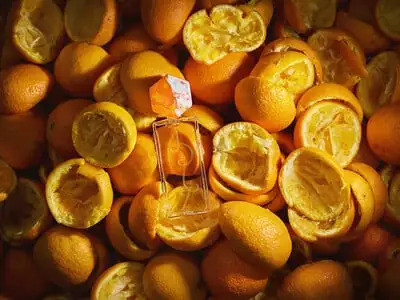 Солнечный апельсин из Нидерландов