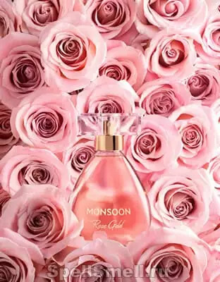 Rose Gold – опьяняющий аромат королевы цветов от Monsoon