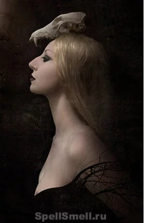 Анималистические пачули - Roxana Illuminated Perfume Figure 1 Noir