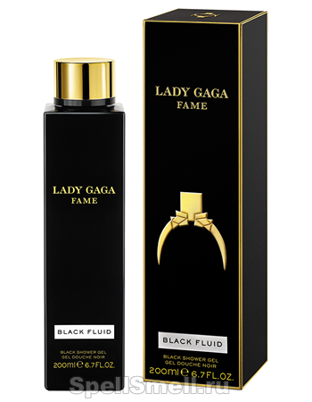 lady gaga fame