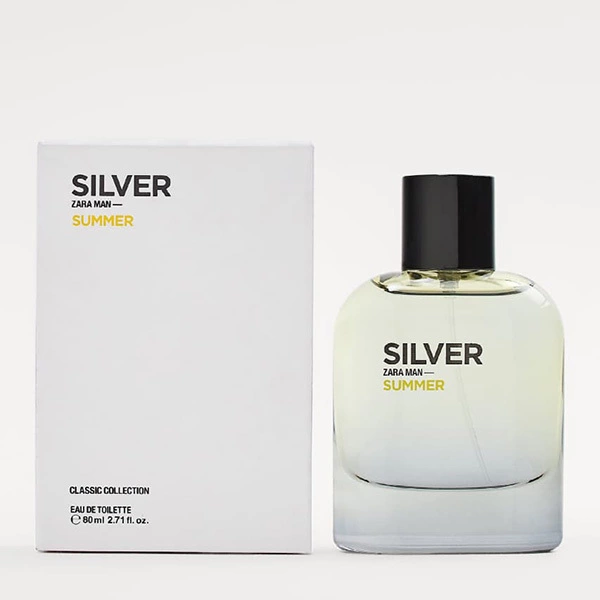 silver zara man