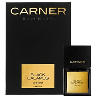 Black Calamus