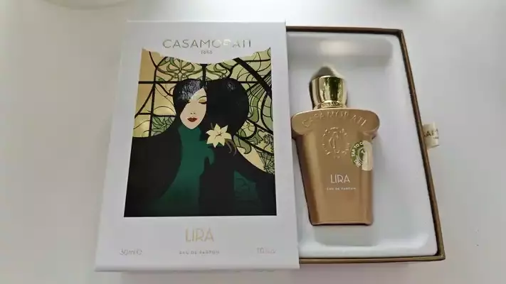 Casamorati Lira - отзыв в Москве