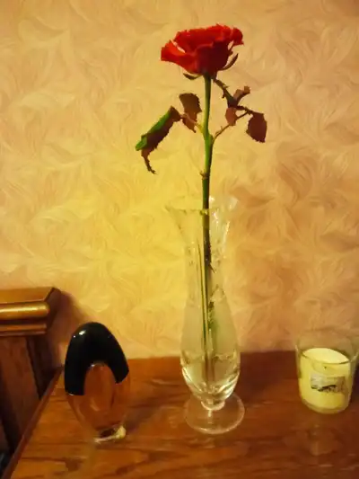 Paloma Picasso Paloma Picasso Mon Parfum - отзыв в Самаре