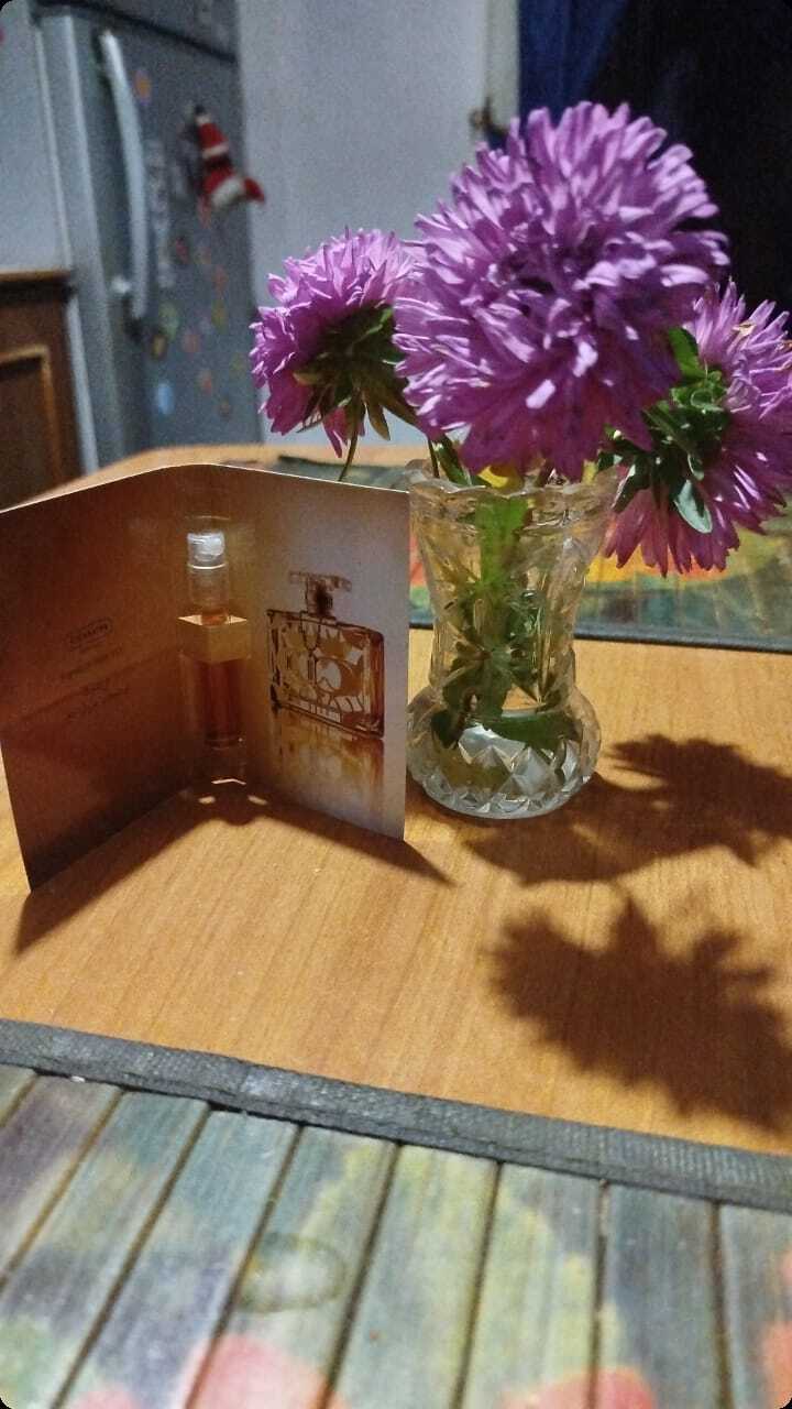 Миниатюра Coach Signature Rose D Or Парфюмерная вода 1.5 мл - пробник духов