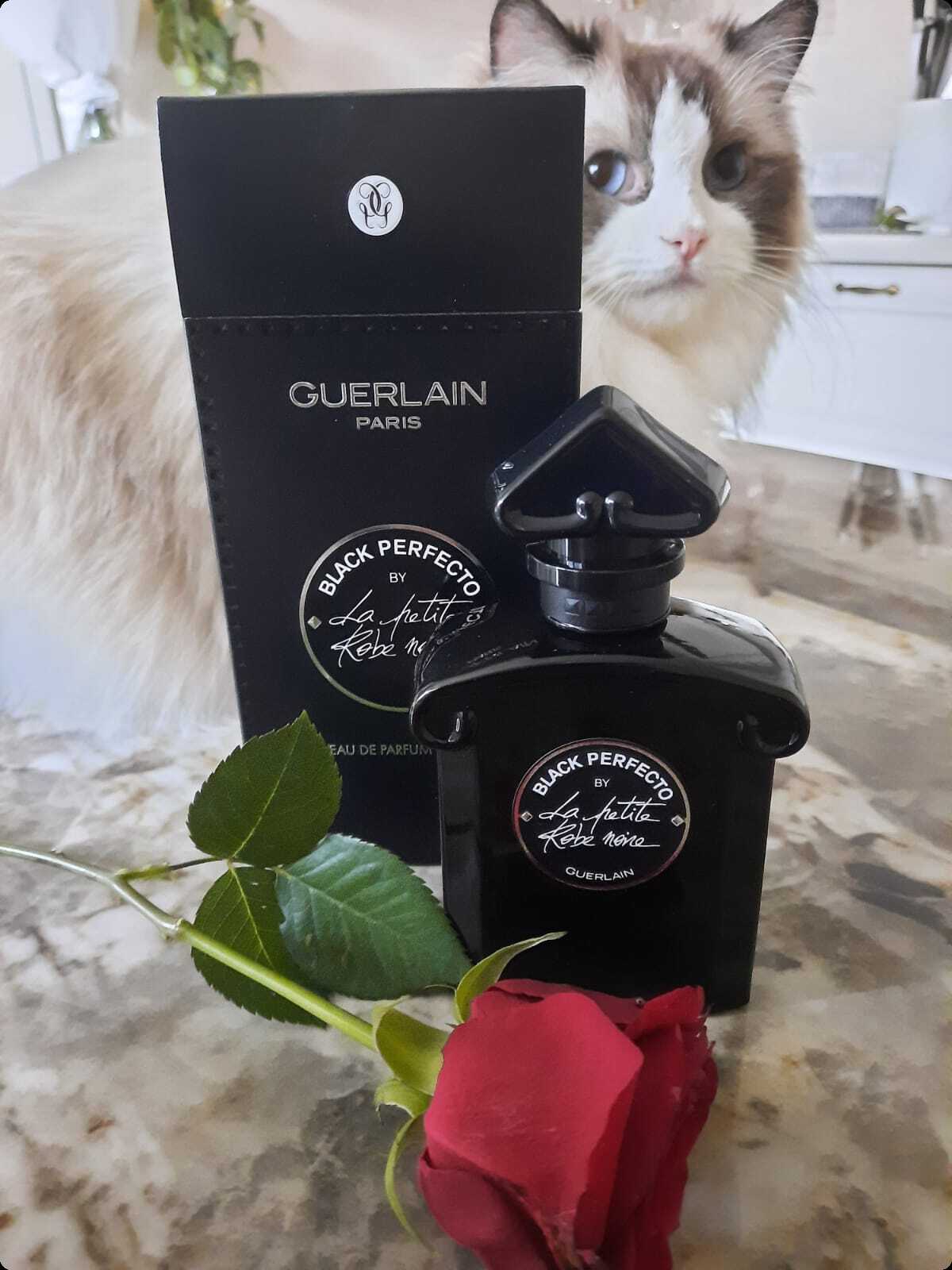 Guerlain Black Perfecto by La Petite Robe Noire Парфюмерная вода 100 мл для женщин