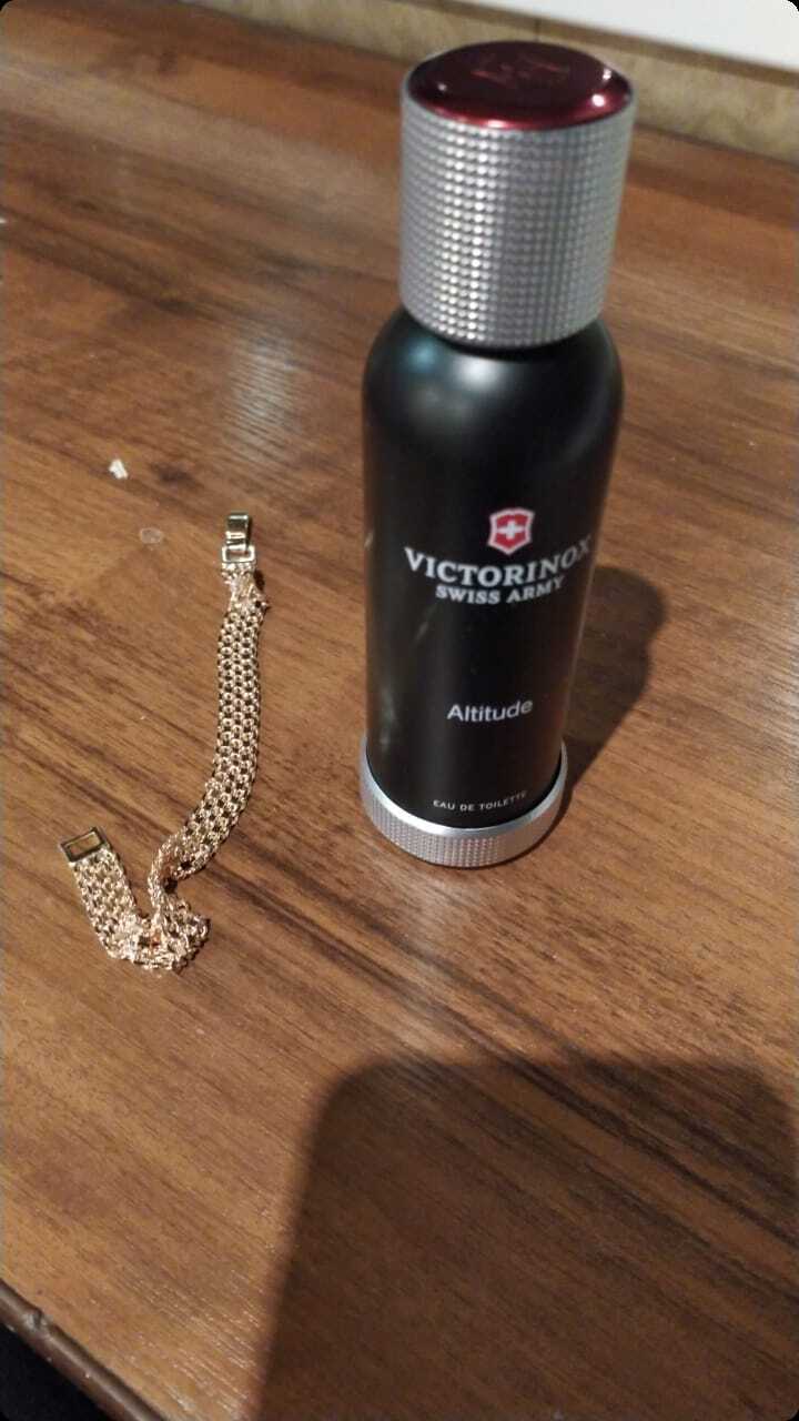 Victorinox Swiss Army Swiss Army Altitude Туалетная вода 100 мл для мужчин