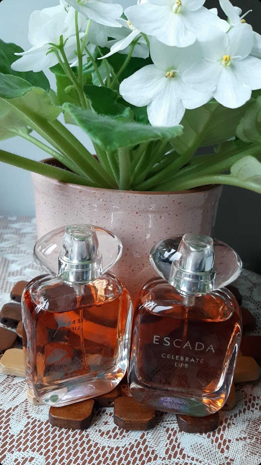 Escada Celebrate Life Парфюмерная вода 50 мл для женщин