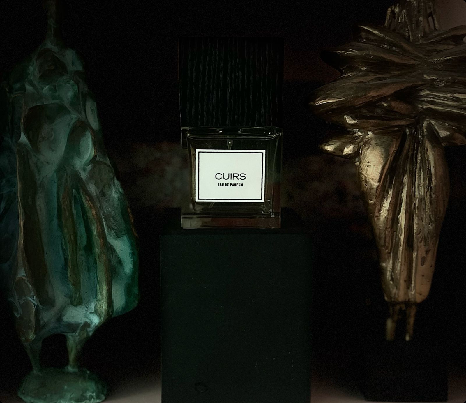 Carner Barcelona Cuirs Парфюмерная вода 50 мл для женщин и мужчин