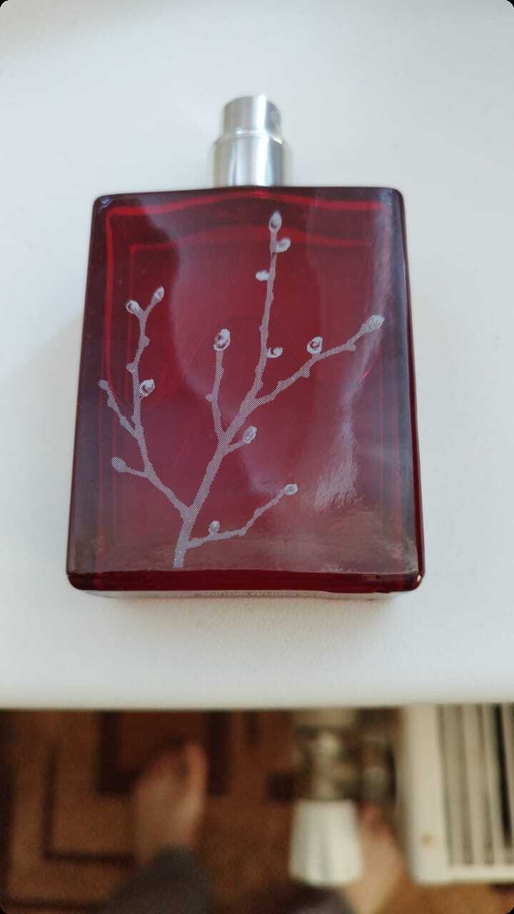 Арман баси Ин ред для женщин - фото 1