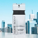 Аромат Silver Scent Infinite Silver от Jacques Bogart