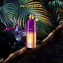 Унисекс Montale Sensual Instinct – находка для гурманов и любителей Baccarat Rouge 540