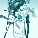 Парфюмерная вода Tiffany & Co. Eau de Parfum