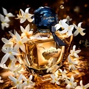 Аромат Shalimar Millesime Jasmin от бренда Guerlain