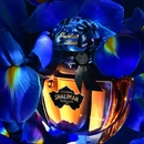 Аромат Shalimar Millesime Iris от бренда Guerlain