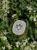 Аромат Eau des Sens от бренда Diptyque