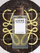 Аромат Casa de Campo от бренда Loewe