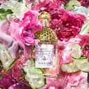 Аромат Aqua Allegoria Rosa Verde от бренда Guerlain