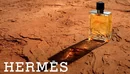 Мужской аромат Hermes Terre D Hermes