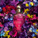 Аромат Absolus Allegoria Florabloom от бренда Guerlain