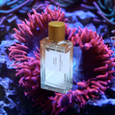 Аромат Pacific Rock Flower от бренда Goldfield and Banks