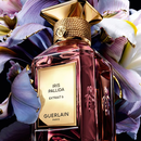 Аромат Guerlain Iris Pallida Extrait 6