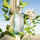 Аромат Bvlgari Eau Parfumee au The Vert