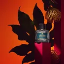 Аромат Sueno Latino от бренда Aedes de Venustas