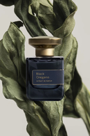 Аромат Black Oregano от бренда Atelier Materi