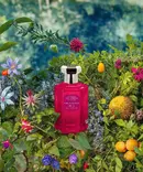 Аромат Teti от бренда Lorenzo Villoresi