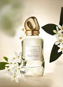 Женский аромат Donna Karan Cashmere and Tunisian Neroli