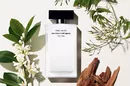 Женский парфюм Narciso Rodriguez Pure Musc For Her