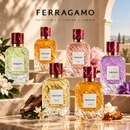 Ароматы Ferragamo Palazzo, Ferragamo Bellezza, Ferragamo Hollywood, Ferragamo Studio, Ferragamo Cupola и Ferragamo Arte от бренда Salvatore Ferragamo