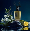 Аромат Onyx Black от бренда Pana Dora