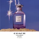 Аромат Dreams Moonlight от бренда Coach