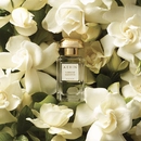 Аромат Tuberose Gardenia от бренда Aerin