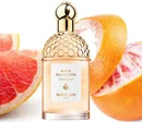 Духи в стиле унисекс Guerlain Aqua Allegoria Pamplelune
