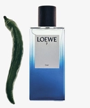 Аромат 7 Elixir от бренда Loewe