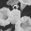 Аромат Luvani от бренда Pernoire