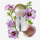 Духи Agatho Portamarina Духи Agatho Portamarina