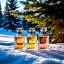 Предлагаем Вам познакомиться поближе с интересными и значимыми парфюмами этой зимы