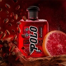 Аромат Polo Red Racing Edition от бренда Ralph Lauren