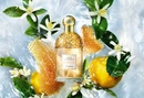 Аромат в стиле унисекс Guerlain Aqua Allegoria Nettare di Sole