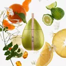 Женские духи Sarah Jessica Parker Divine Lime