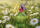 Женские духи Marc Jacobs Daisy Wild Eau So Extra Женские духи Marc Jacobs Daisy Wild Eau So Extra