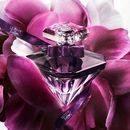 Женский аромат Lancome La Nuit Tresor Le Parfum