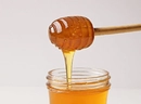 Мед вырабатывают пчёлы и некоторые родственные им насекомые