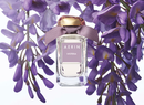 Аромат Wisteria от бренда Aerin